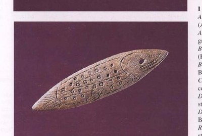 The Riparo Gaban bone fish, terminally perforated at the mouth.