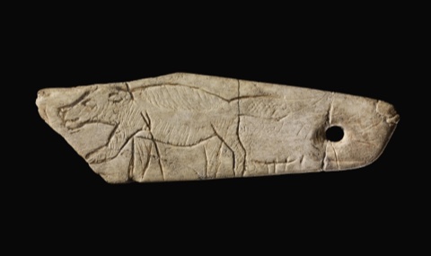 A wolverine engraved along a thin bone blade, facing away from the perforation at its far end.