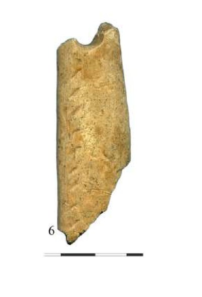 The perforated, decorated antler plaque from Cuina Turcului (inv. 712).