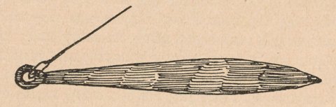 Schmidt’s 1933 drawing of the Murik urubaia bullroarer, with a cord at its ring-shaped end and repeated lengthwise lines along the blade.