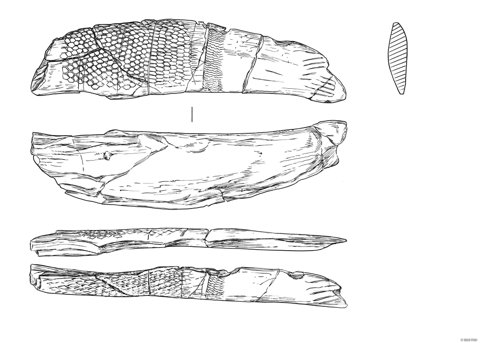 The same plaque drawn face, back and edges, with its lens-shaped cross-section.