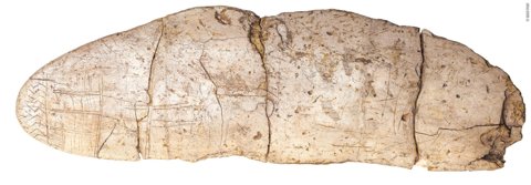 A flat oval ivory plaque, 23 cm long, its rounded end incised with zigzags.