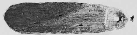 The carved board from site 26Ln3088, Groom Range, with its end hole and knob; 41 cm long.