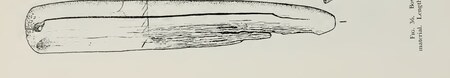 Carter Ranch Pueblo burial 9 bone bow guard (fig. 36, item l).