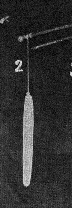 Roy’s 13-inch Angami bullroarer from Khizabarui, Khizami subgroup, used as a toy or bird-scarer.