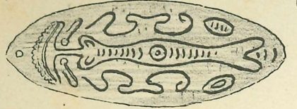 The Papan — curved-line animal ornament on the oval blade that hung in the Eramo.