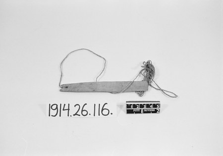 An Ejagham bullroarer from the Oban district, Nigeria: a plain narrow lath with cord wound repeatedly around its shaft and knotted into a...