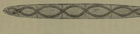 Spencer and Gillen's Fig. 94, the wooden purtuli associated with Katakitji's snake-totem waterhole in Umbaia (Wambaya) country.