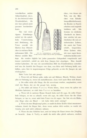 Tessmann's direct Fang field figure: two free-air bullroarers, one attached to a handstick and one cord-only. It documents the operating form,...