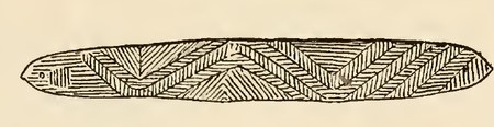 The Wiluna bull-roarer itself, 21 inches of ochre-dark wood carved in herring-bone zigzags — so broad, Montague wrote, it might at first sight...