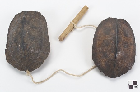 The Waiwai bull-roarer itself: two whole turtle carapaces strung along a plant-fibre cord with a short reed lashed between them, collected in...