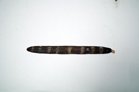 A painted Northern Yoruba bullroarer collected by Frobenius.