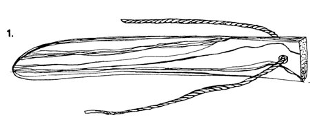 Line drawing of a long flat bullroarer blade with a cord running from its end to a short wooden handle.