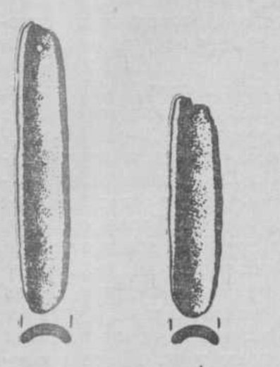Novopokrovka nephrite blesny with section profiles — Okladnikov & Derevyanko 1973, p. 125 — блесны