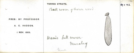 A register card naming this specimen 'Wani's bull-roarer,' from Muralug in the Torres Strait, sketched as a plain oval of brown wood; not the...