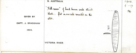 A museum register sketch of a bull-roarer of hard brown wood stained black, flat on one side and rounded on the other, collected on the...