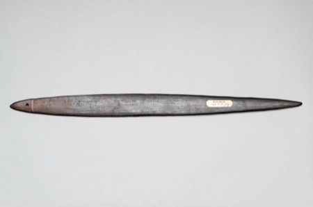 A palmwood bull-roarer from the Bensbach River, a slender blackened blade pierced near one tip, collected on the 1903–04 Cooke Daniels...