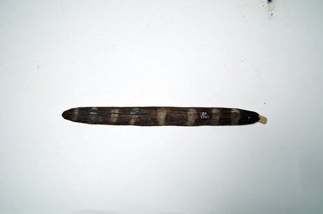 A carved Central African bull-roarer from the Frobenius collection, a slender dark blade banded with pale stripes; shown for the general form,...