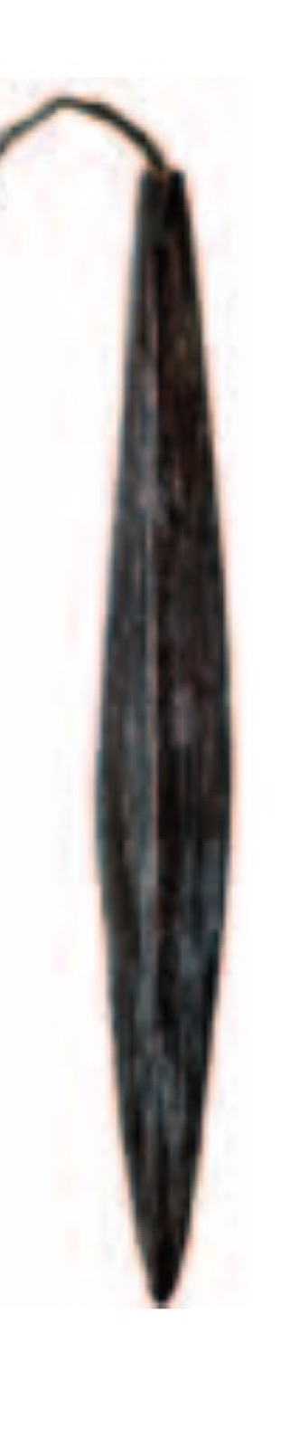 Neuchâtel V.826, its cord still hitched to the blade.