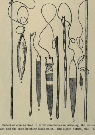 Haddon's fig. 237: five models (A–E) of the bigu bull-roarers swung openly by the Mabuiag at turtle-increase ceremonies, each blade slung from...