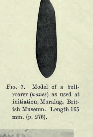 Plate XII, Fig. 7: model of a Muralug (Prince of Wales Island) bull-roarer (wanes) as used at initiation, British Museum, length 165 mm.