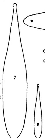 Plate 9, figs. 7 & 8: the bull-roarers mudthega (large, fig. 7) and moonibear (small, fig. 8) of the Wiradjuri (Wiradthuri) on the Macquarie...