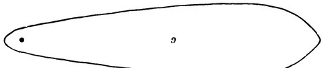 Plate 9, fig. 9: the gonnandhakeen bull-roarer of the tribes between the Hunter and Macleay Rivers, used at the Keeparra and Dhalgai ceremonies...