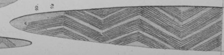 Schmeltz's Plate IV, fig. 10: the Nullagine-district blade, lanceolate, close-grooved with zigzags.