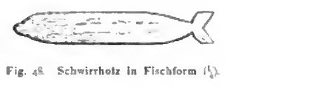 The Ipurina fish-form bull-roarer (yuenerù) collected by Ehrenreich on the Rio Purús, drawn here as a rounded blade tapering to a small forked...