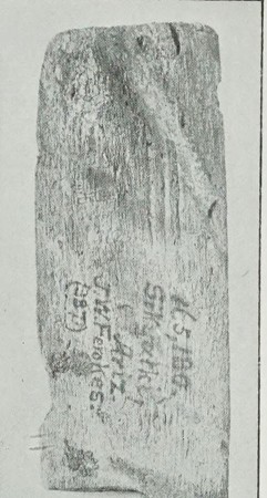 The Sikyatki grave paho Fewkes hedged as a whizzer: a flat weathered blade with its catalog number inked on the face.