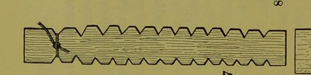 Haddon's fig. 38 no. 7 — cord lashed into the notch-waist, trapezoid teeth down both edges: very likely this board.