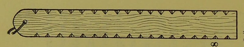 The Hemsby buzzer itself, engraved by Haddon in 1898: a rounded-end Norfolk board with rows of small teeth, its cord knotted through the...