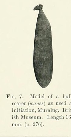 Model of a wanes bull-roarer as used at initiation, Muralug (British Museum) — the documented object class.
