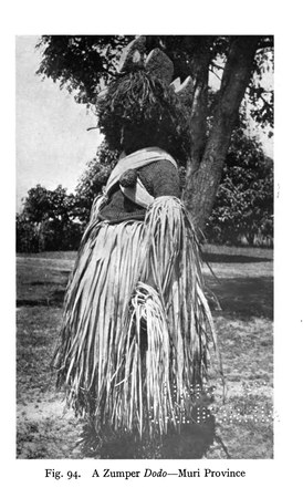 A Zumper Dodo masker photographed from behind in Muri Province, his woven cap and long raffia skirt trailing to the ground. The Dodo is the...