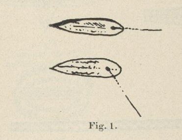 Wabo lanqua, hung askew on its cord so it rasps.