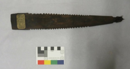 A dark wood blade with deep saw-tooth notches cut along both edges and a tuft of cord at its tip — a Naga type from the Pitt Rivers...