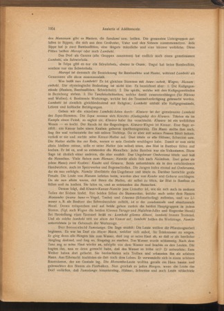 The same 1921/22 page records a bullroarer at Dagoi; no object image survives.