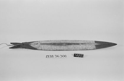 One of Blackwood's three ipura imunu, wrapped together in palm spathe at Orokolo Bay, 1937 (PRM 1938.36.300).