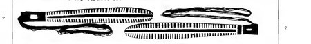 Spencer's own plate of the Larrakia bidu-bidu: two finely hatched bull-roarer boards, each still fitted with its looped carrying cord.