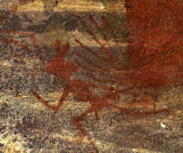 Red ochre rock painting of a boar-like animal with dense internal lines radiating through its body.