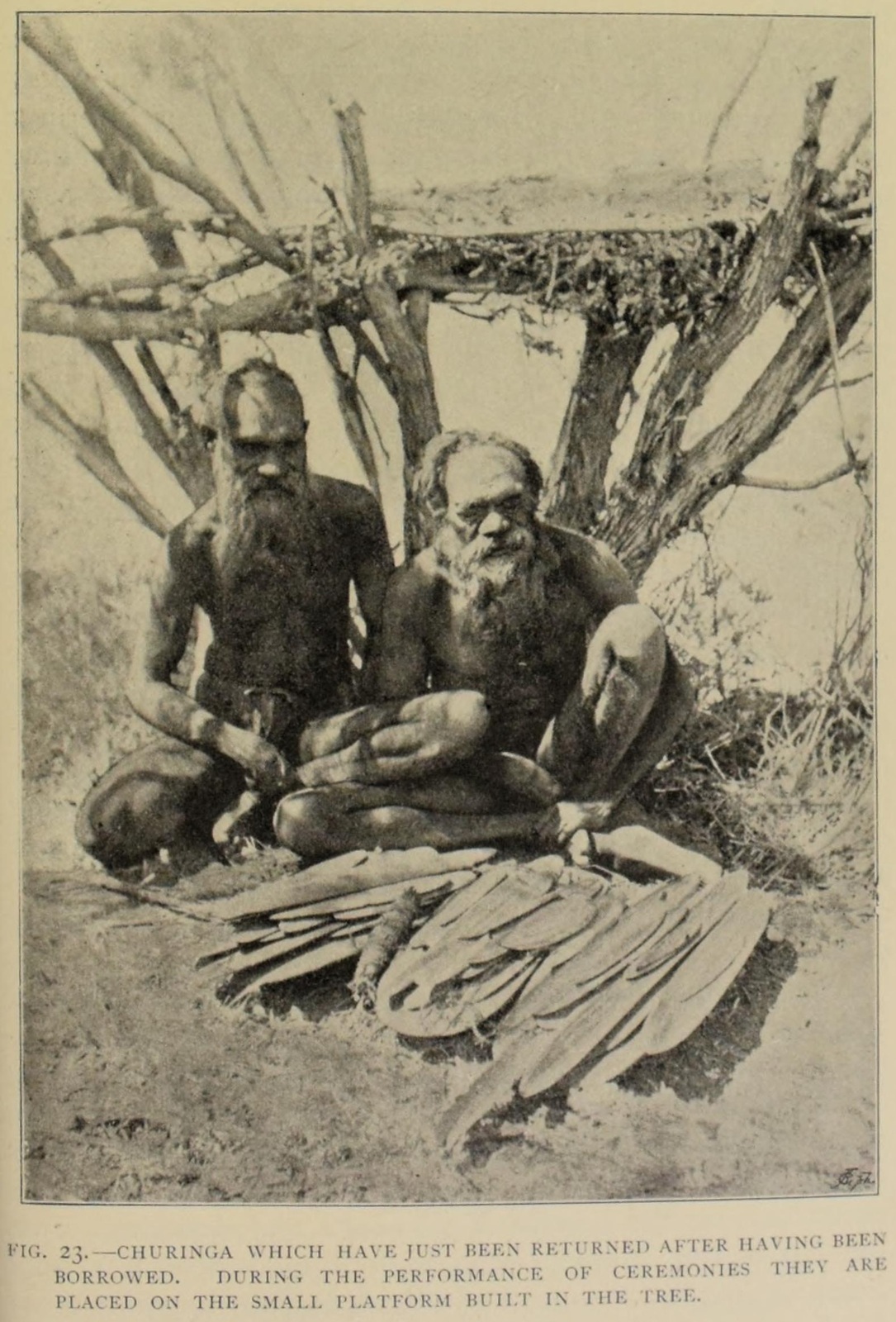 Two Arrernte men sit behind a spread of elongated sacred objects, beneath a platform built between tree branches.