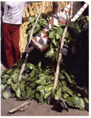 Bobo sô molo sits amid fresh leaves with its painted mask, long ritual implements and objects arranged on the ground before it.