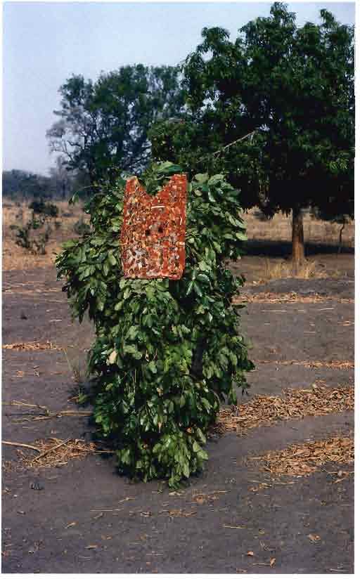 Bobo saxa molo masquerader is covered in fresh green leaves beneath a red-orange bark faceplate with two pointed upper corners.