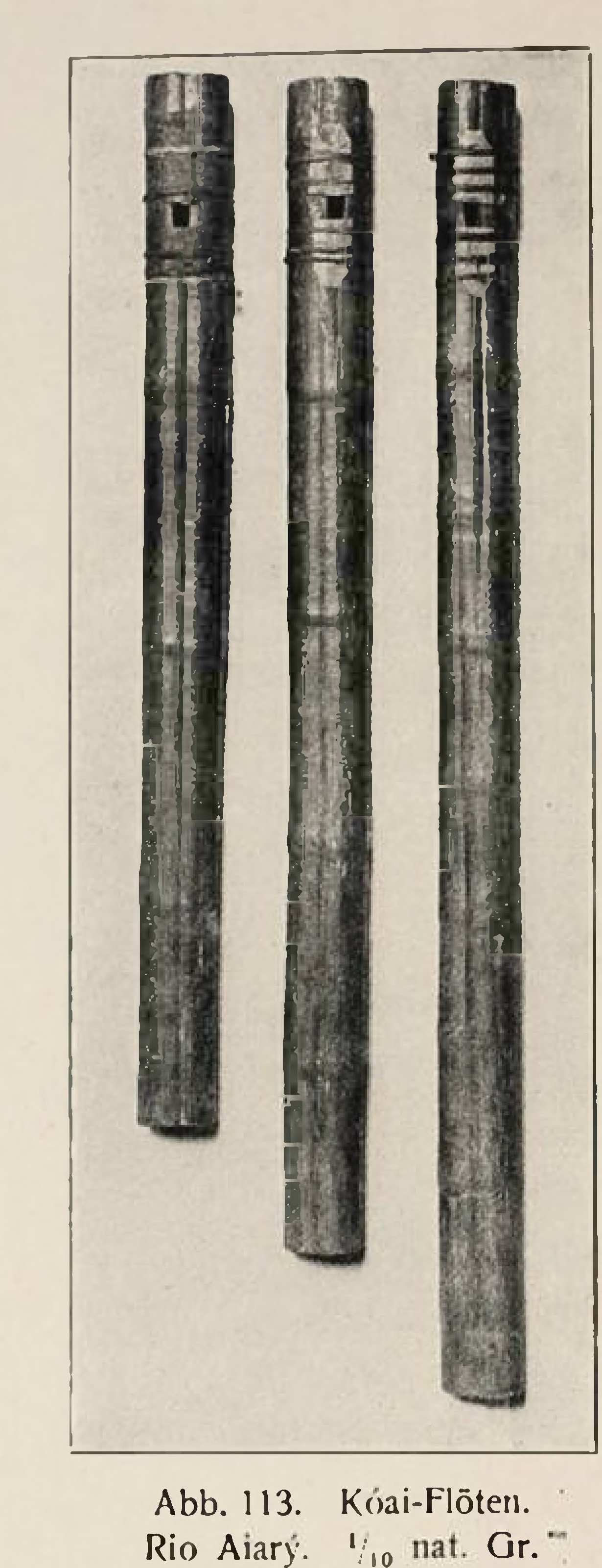 Three long palm-wood sacred flutes leaning against a house wall, photographed by Koch-Grünberg on the Rio Aiarý